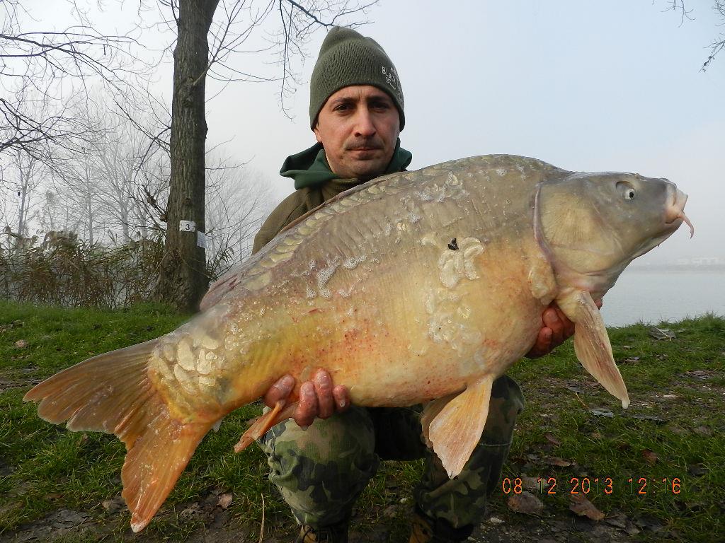 iarna cu carpfishing - dscn1861.JPG